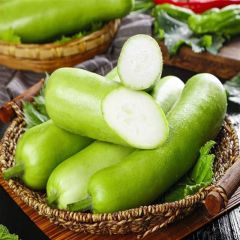 临安长蒲瓜4根（＞500g）