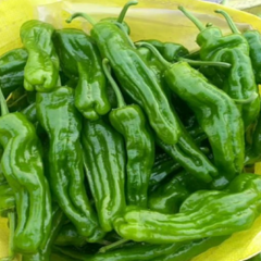 临安苏椒五号500g*3